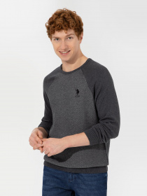 Джемпер US Polo модель G081GL0TK.000.1429004.VR081 Фото