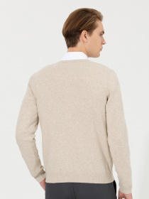 Джемпер US Polo модель G081GL0TK.000.1428987.VR225 Фото