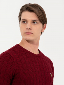 Джемпер US Polo модель G081SZ0TK.000.1428937.VR014 Фото