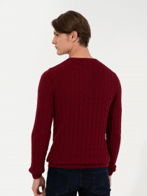 Джемпер US Polo модель G081SZ0TK.000.1428937.VR014 Фото