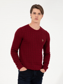 Джемпер US Polo модель G081SZ0TK.000.1428937.VR014 Джемпер US Polo модель G081SZ0TK.000.1428937.VR014 Фото