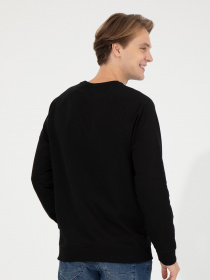 Свитшот US Polo модель G081SZ082.000.1454279.VR046 Фото