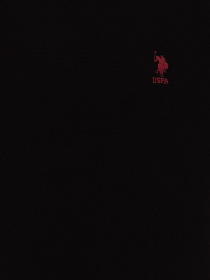 Джемпер US Polo модель G081SZ0TK.000.1428974.VR046 Фото