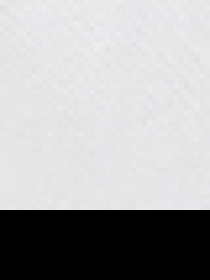 Лонгслив US Polo модель G081GL082.000.1451570.VR013 Фото