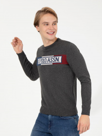 Джемпер US Polo модель G081SZ0TK.000.1455048.VR081 Фото