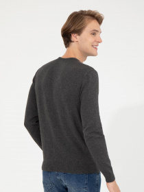 Джемпер US Polo модель G081SZ0TK.000.1455048.VR081 Фото