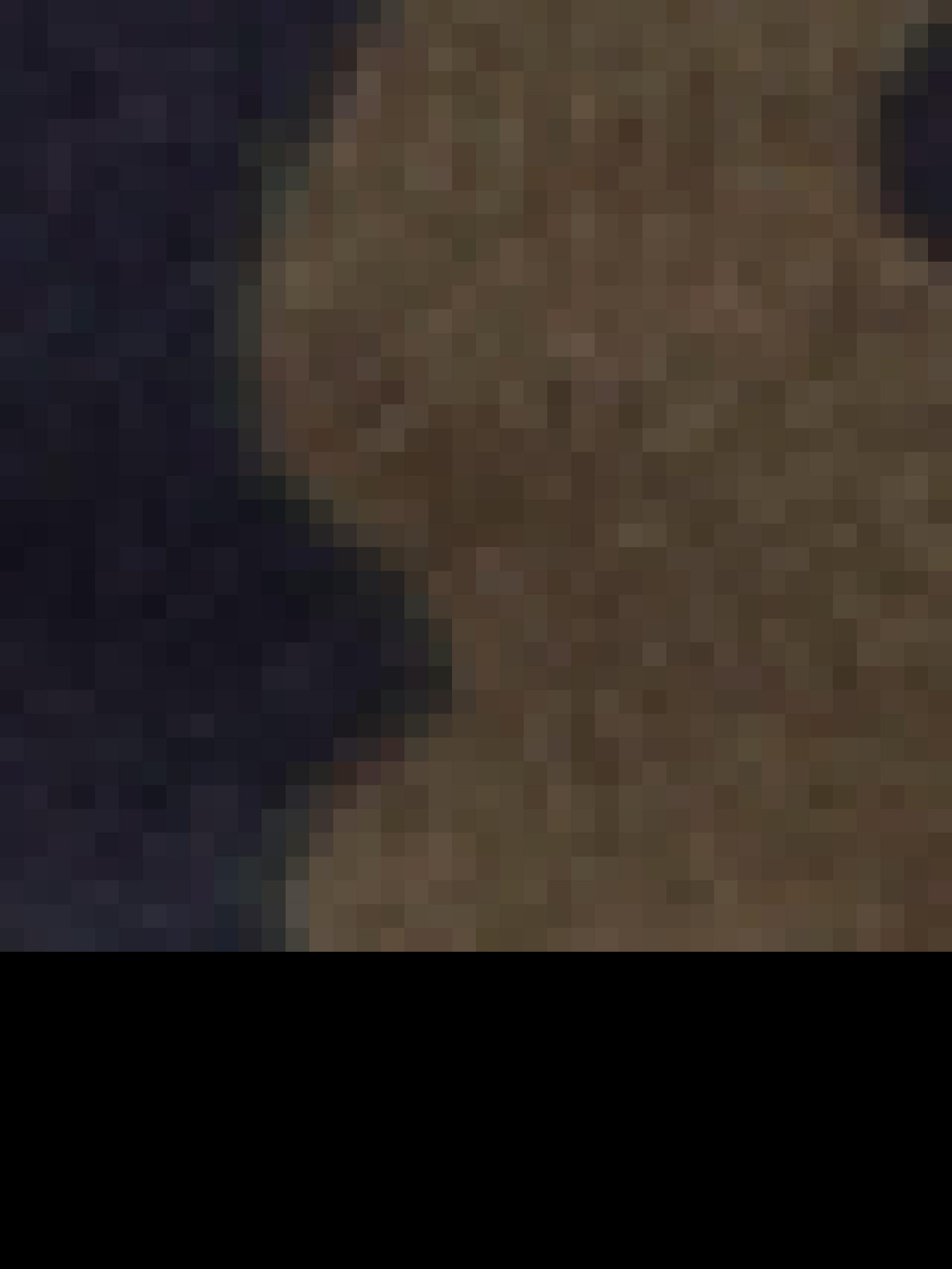 Свитшот US Polo модель G081GL082.000.1451988.VR153 Фото