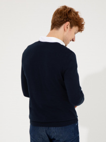 Джемпер US Polo модель G081GL0TK.000.1428987.VR033 Фото