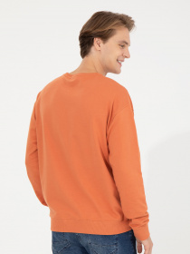 Свитшот US Polo модель G081SZ082.000.1454756.VR031 Фото