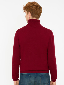 Светр US Polo модель G081SZ0TK.000.1259614.VR014 Светр US Polo модель G081SZ0TK.000.1259614.VR014 Фото