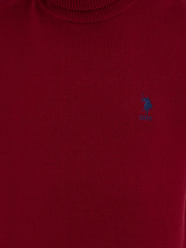 Светр US Polo модель G081SZ0TK.000.1259614.VR014 Светр US Polo модель G081SZ0TK.000.1259614.VR014 Фото