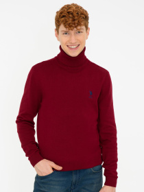 Светр US Polo модель G081SZ0TK.000.1259614.VR014 Светр US Polo модель G081SZ0TK.000.1259614.VR014 Фото