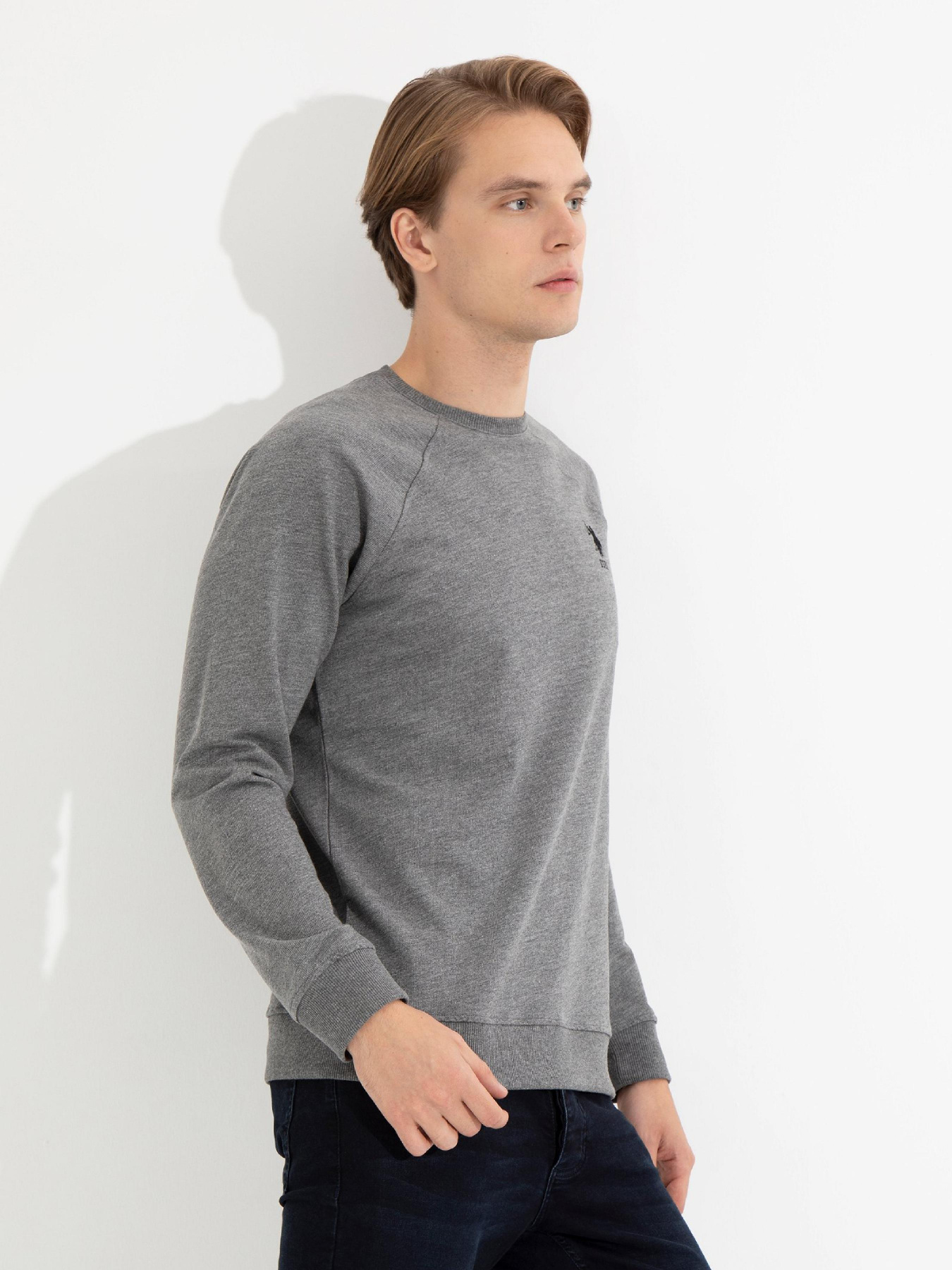 Свитшот US Polo модель G081SZ082.000.1454279.VR081 Фото