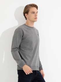 Свитшот US Polo модель G081SZ082.000.1454279.VR081 Фото