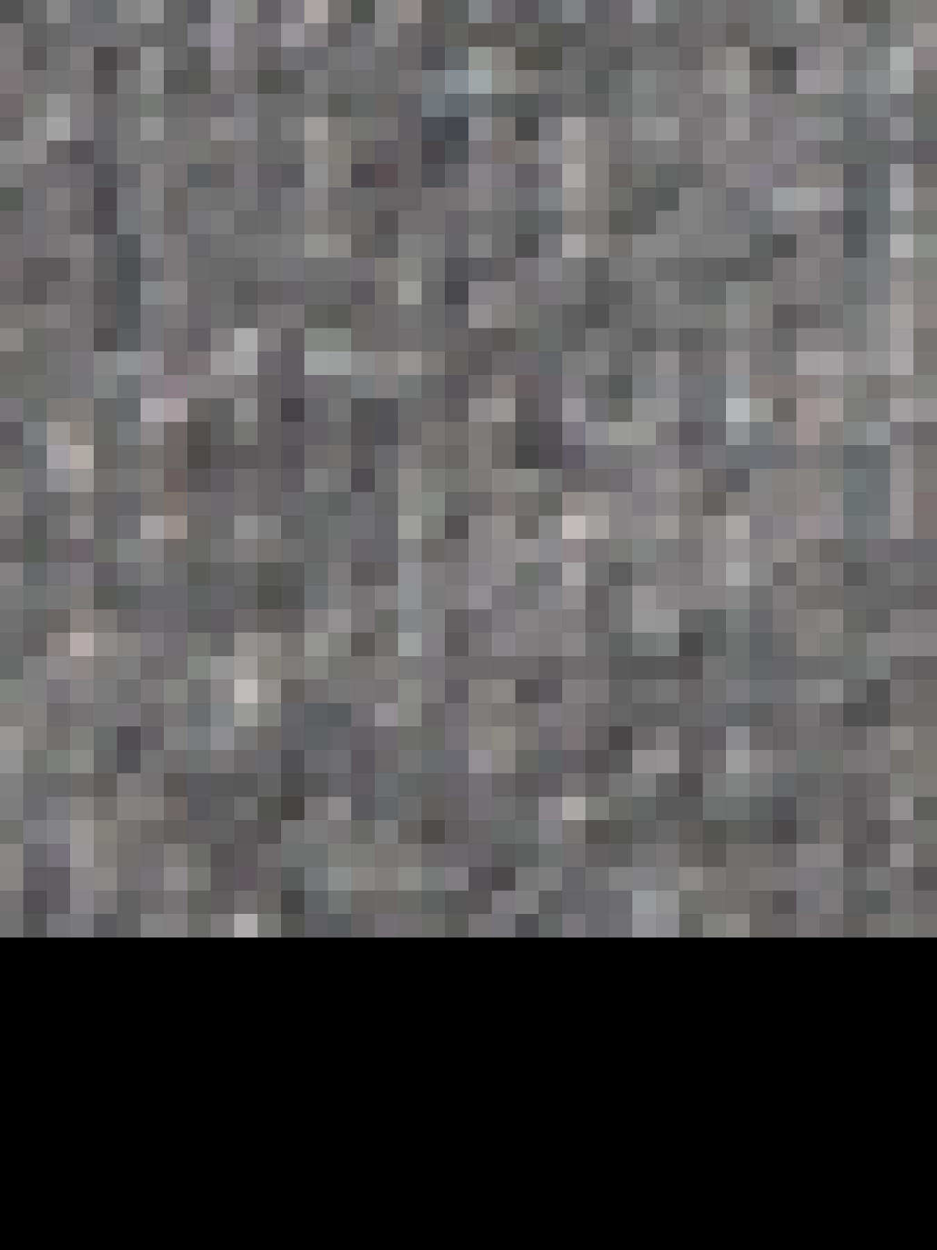 Світшот US Polo модель G081SZ082.000.1454279.VR081 Фото