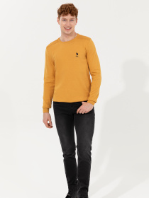 Джемпер US Polo модель G081SZ0TK.000.1428974.VR043 Фото