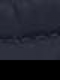 Вітровка US Polo модель G081GL0MS.000.1071532.VR033 Фото