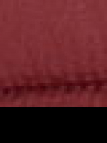 Ветровка US Polo модель G081GL0MS.000.1259833.KR0215 Ветровка US Polo модель G081GL0MS.000.1259833.KR0215 Фото