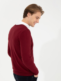 Джемпер US Polo модель G081SZ0TK.000.1428940.VR014 Фото