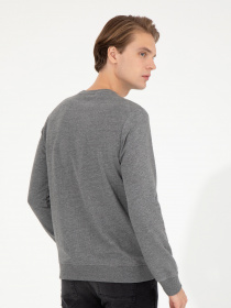 Свитшот US Polo модель G081SZ082.000.1454251.VR081 Фото