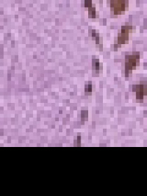 Джемпер US Polo модель G082GL0TK.000.1430142.VR034 Фото