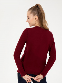 Кардиган US Polo модель G082GL0TH.000.1430187.VR014 Фото