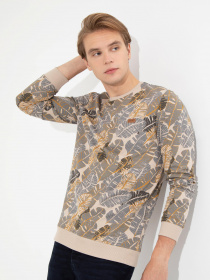 Світшот US Polo модель G081SZ082.000.1454338.VR049 Фото