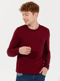 Джемпер US Polo модель G081SZ0TK.000.1428974.VR014 Джемпер US Polo модель G081SZ0TK.000.1428974.VR014 Фото