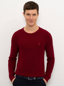 Джемпер US Polo модель G081GL0TK.000.1056212.VR014 Фото