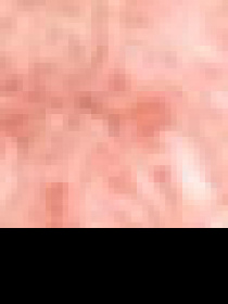 Кофта US Polo модель G082SZ0TK.000.1266274.VR204 Фото