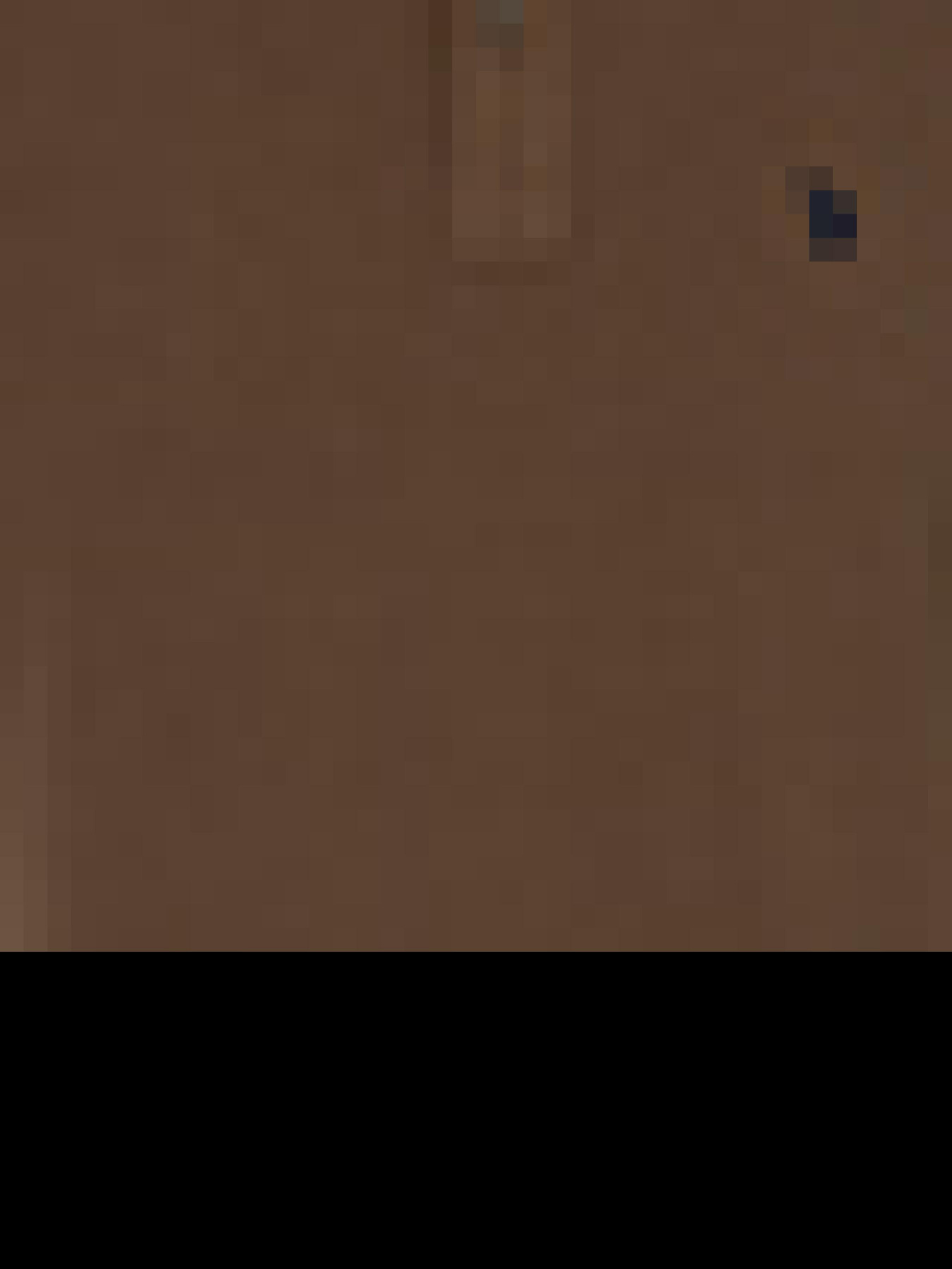 Лонгслив US Polo модель G081GL082.000.1451570.VR153 Фото