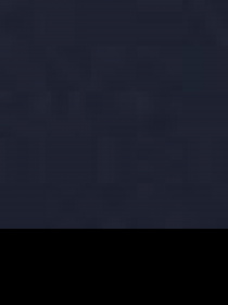 Вітровка US Polo модель G081GL0MS.000.1259833.VR033 Фото