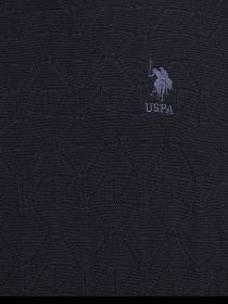 Джемпер US Polo модель G081SZ0TK.000.1091105.VR033 Фото