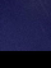 Жилет з утеплювачем US Polo модель G081SZ010.000.1348905.VR033 Фото