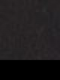 Демісезонна куртка US Polo модель G082SZ0MS.000.1442488.VR046 Фото