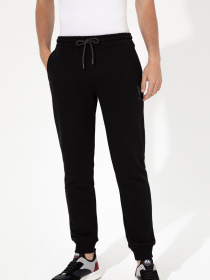 Джоггеры US Polo модель G081SZ0OP.000.1454286.VR046 Фото