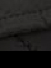 Вітровка US Polo модель G081GL0MS.000.1071532.VR046 Фото