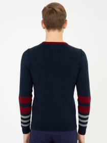 Джемпер US Polo модель G081SZ0TK.000.1261357.VR033 Фото