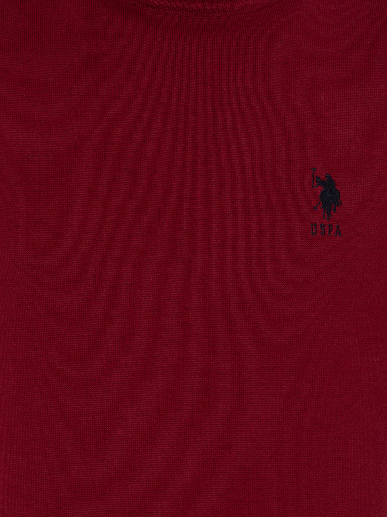 Водолазка US Polo модель G081SZ0TK.000.1428915.VR014 Фото