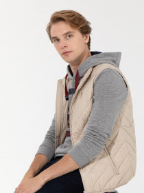 Жилет з утеплювачем US Polo модель G081SZ010.000.1449269.VR049 Фото