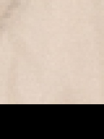 Утеплений жилет US Polo модель G081SZ010.000.1449269.VR049 Фото