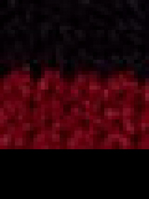 Джемпер US Polo модель G082GL0TK.000.1430152.VR033 Фото