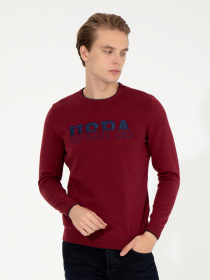 Джемпер US Polo модель G081GL0TK.000.1429128.VR014 Фото