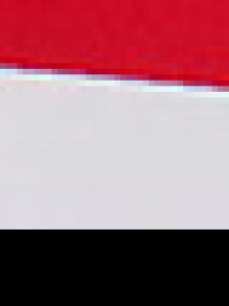 Вітровка US Polo модель G081SZ0MS.000.963809.VR033 Фото