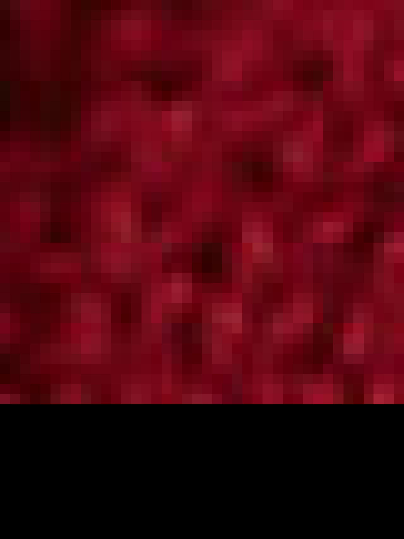 Кофта US Polo модель G082SZ0TK.000.1260329.VR014 Фото