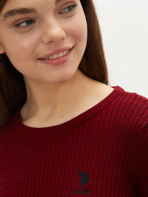 Кофта US Polo модель G082SZ0TK.000.1260329.VR014 Фото