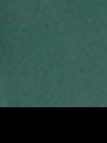 Вітровка US Polo модель G081GL0MS.000.1443228.VR054 Фото