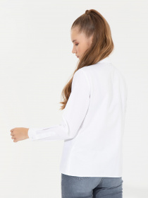 Сорочка повсякденна US Polo модель G082GL004.000.1450242.VR013 Сорочка повсякденна US Polo модель G082GL004.000.1450242.VR013 Фото