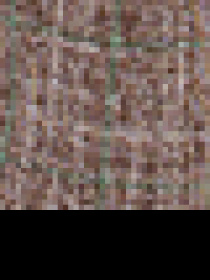 Чиносы US Polo модель G081SZ078.000.1457532.VR153 Фото