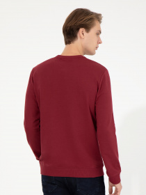 Свитшот US Polo модель G081SZ082.000.1454251.VR223 Фото